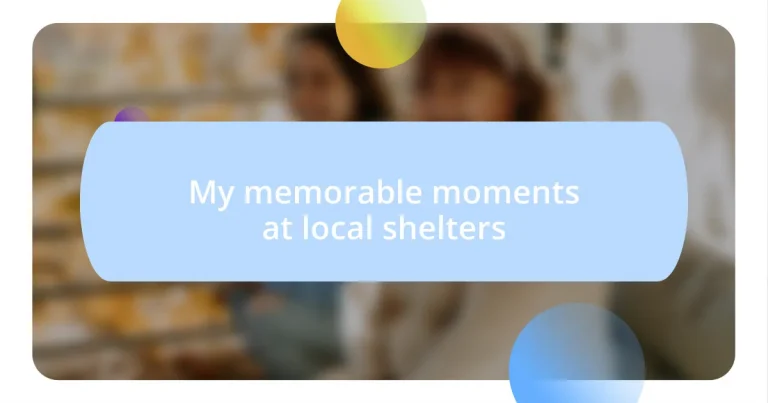 My memorable moments at local shelters